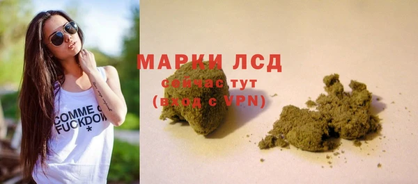 стаф Алексин