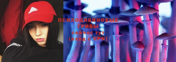 стаф Алексин