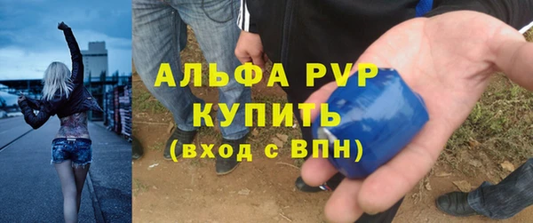 стаф Алексин